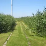 1 *